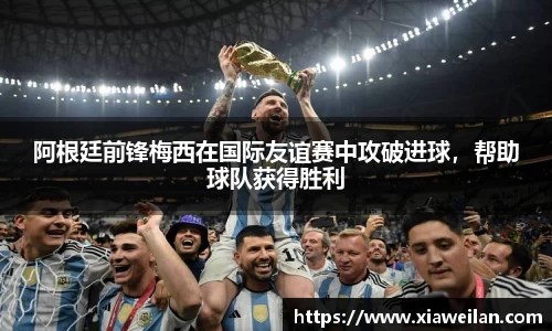 NG体育下载
