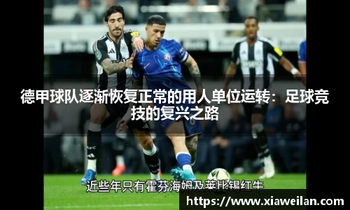 NG体育官网