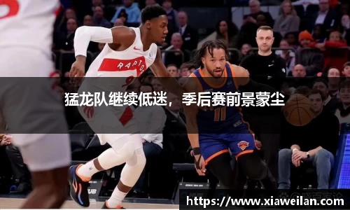 NG体育官网