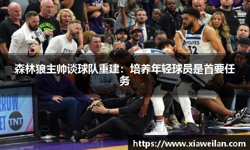 NG体育下载