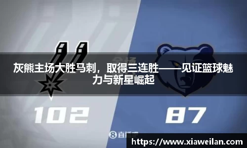 NG体育网址