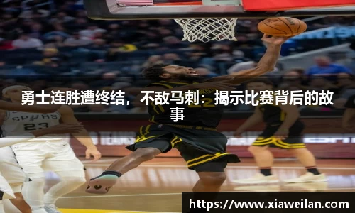 NG体育网址