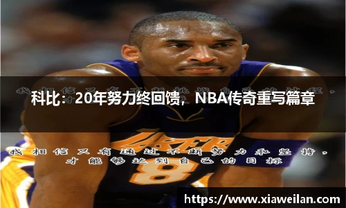 NG体育下载