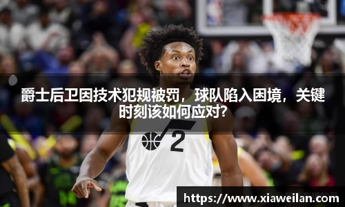 NG体育官网