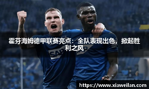 NG体育网址