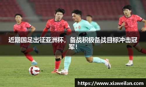 NG体育下载