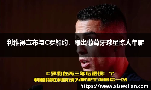 NG体育下载