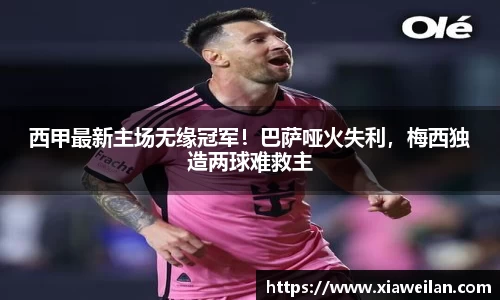 NG体育官网