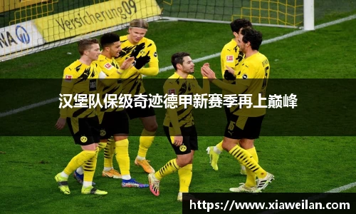 NG体育网址