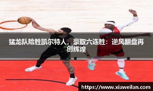 NG体育下载