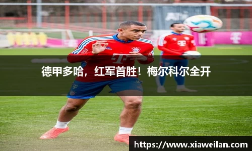 NG体育网址