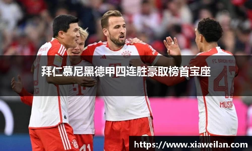 NG体育官网