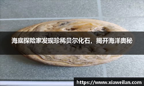 NG体育APP