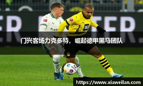 NG体育官网