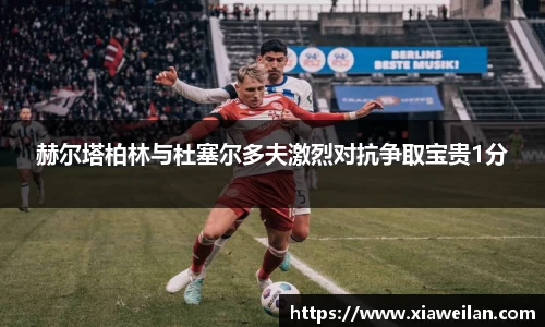 NG体育下载