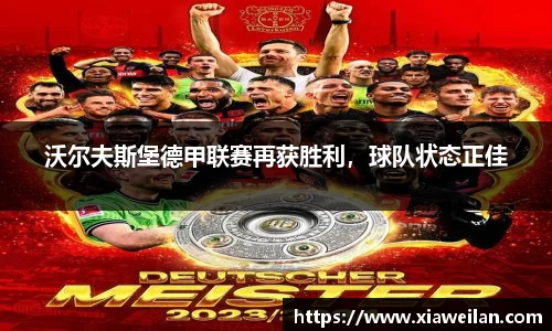 NG体育官网