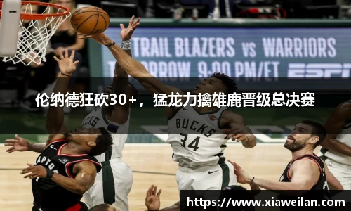 NG体育下载