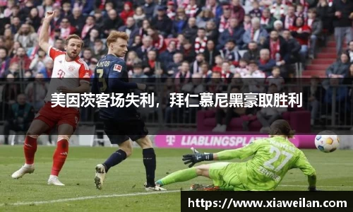 NG体育网址