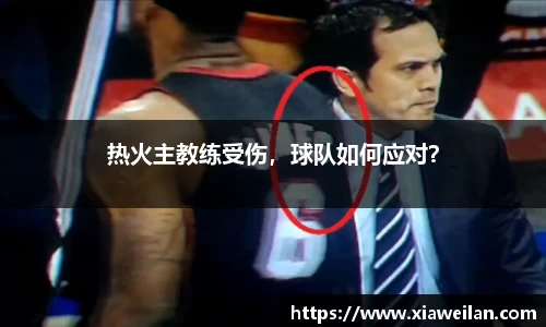 NG体育网址