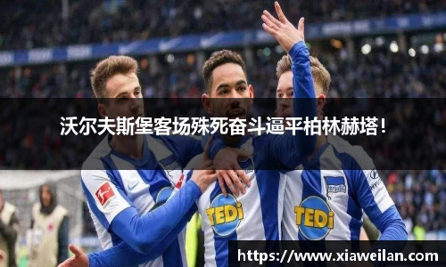 NG体育下载