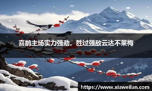 NG体育APP