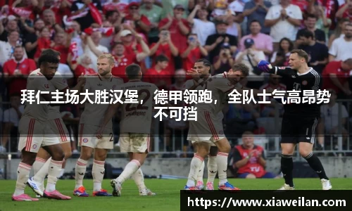 NG体育网址
