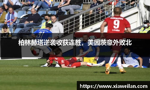 NG体育网址
