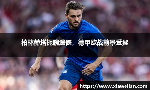 NG体育下载