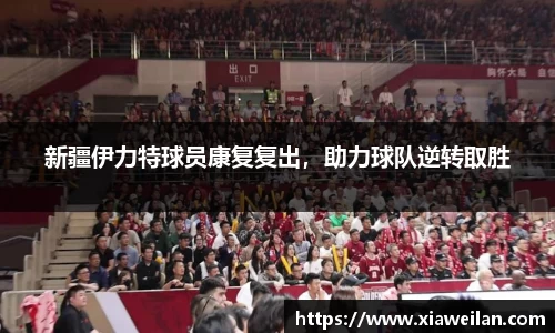 NG体育官网