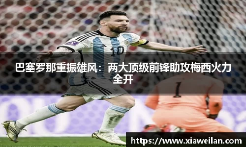 NG体育下载