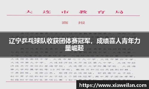 NG体育官网