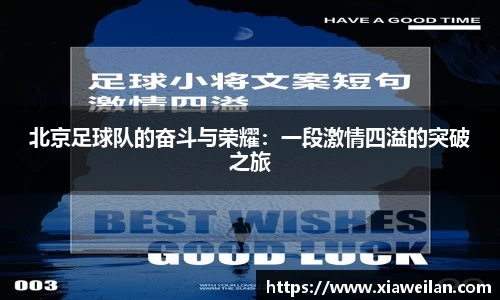 NG体育官网