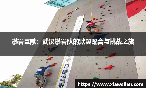 NG体育网址