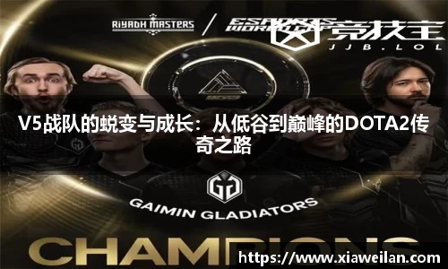 NG体育网址