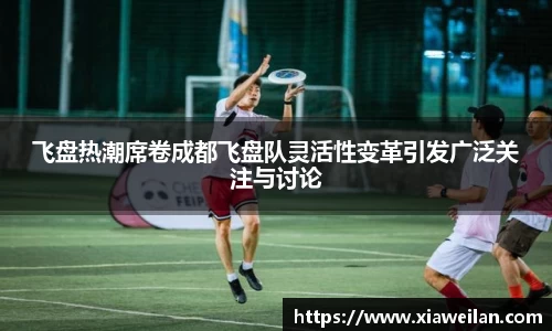 NG体育官网