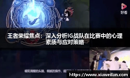 NG体育官网