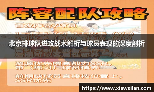 NG体育APP