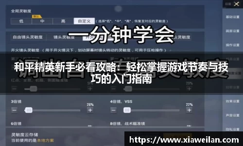 NG体育下载