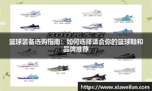 NG体育下载