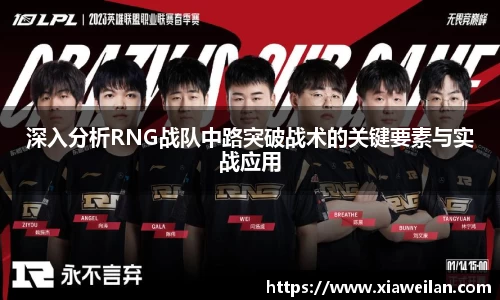 NG体育下载