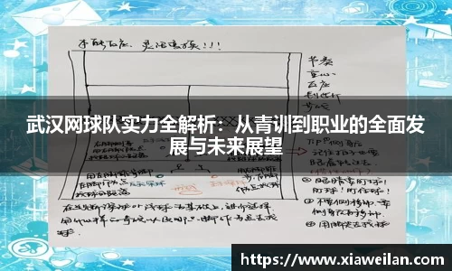 NG体育APP