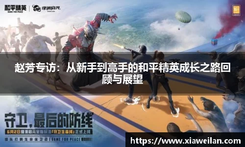 NG体育网址