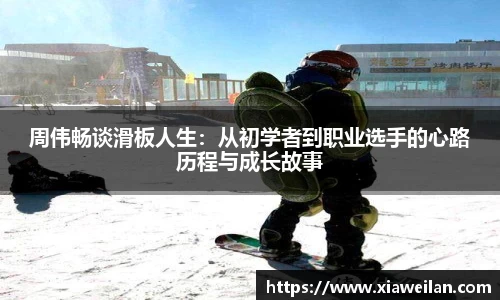 NG体育网址