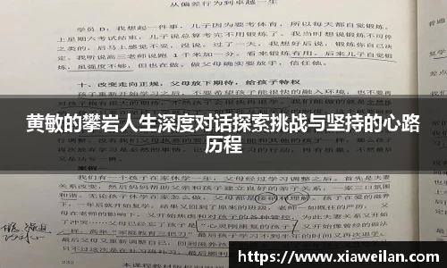 NG体育网址