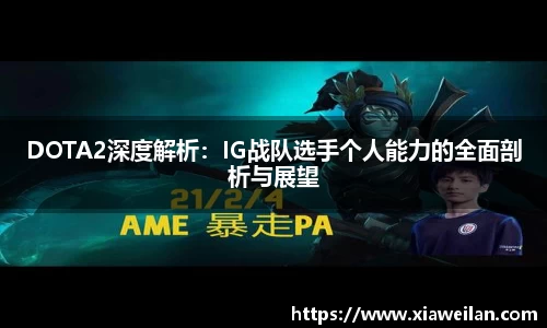 NG体育下载