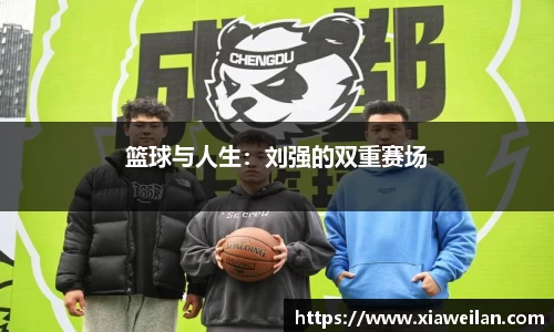 NG体育网址