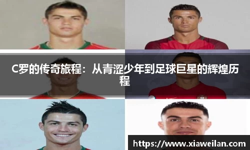 NG体育下载