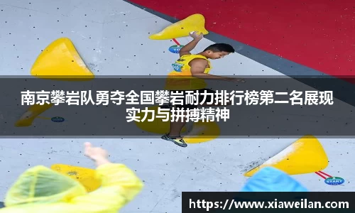 NG体育官网