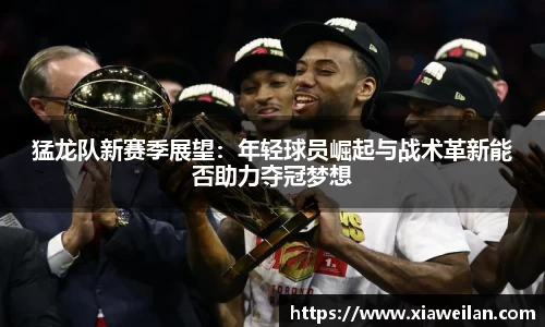 NG体育官网