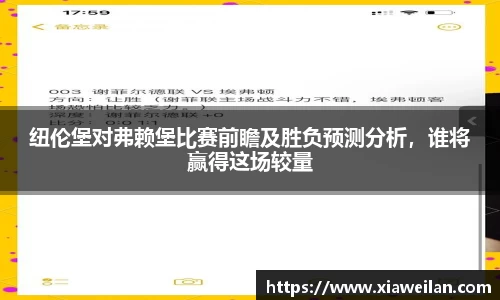 NG体育APP